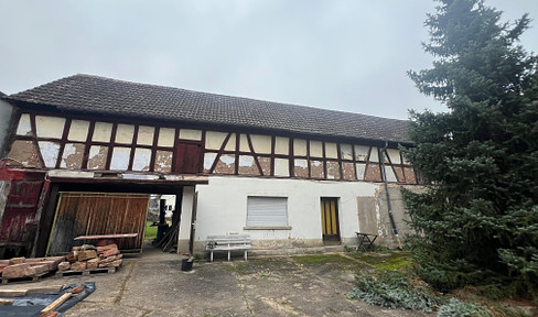 Babenhausen-Langstadt farmstead in need of renovation, e.g. multi-generational living, living + working