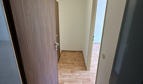 1-room apartment - balcony and kitchen - central but quiet - in the Nibelungenviertel