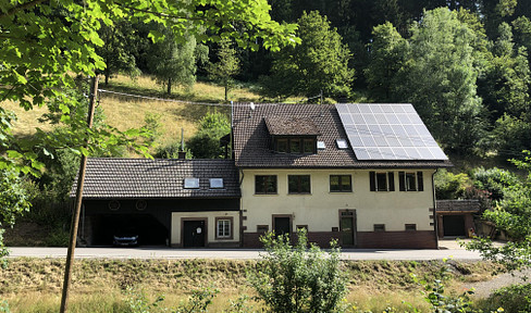 Two-family house-1.73 ha forest and meadows, secluded location, PV system, own spring, by the torrent