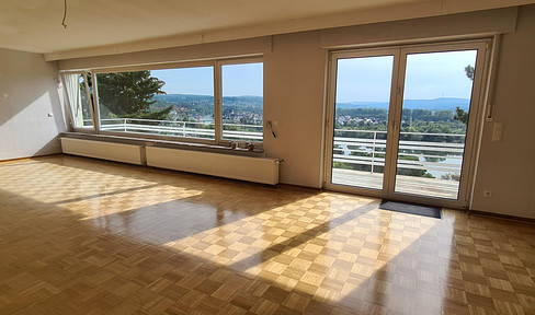 House with a view of the Rhine