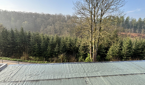 Turnkey!!! Large 4 room new build apartment KFW 40 in Neunkirchen-Seelscheid