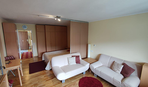 Furnished 1-room apartment with south-facing balcony