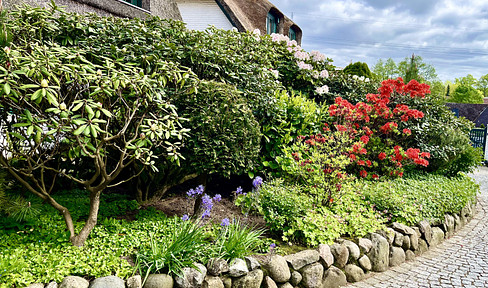 Hamburg suburb - modern living under thatch in Seevetal-Hittfeld.