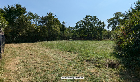 Schönes großes Grundstück in ruhiger Lage von Worms-Hochheim