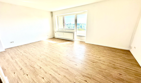 Newly renovated 3-room apartment