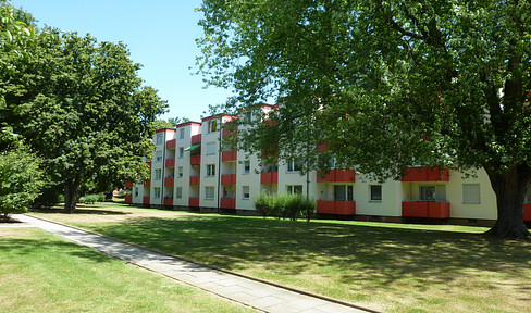 Bright, well cut, view of the greenery