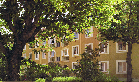 Attic apartment Alte Heide