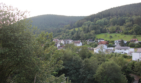 Neubau-Moderne Häuser in Bad Wildbad, profisionsfrei!