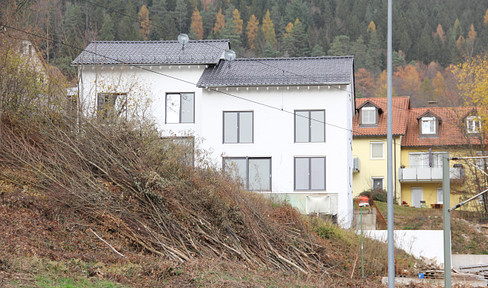 Neubau-Moderne Häuser in Bad Wildbad, profisionsfrei!