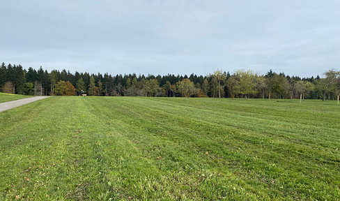 Flat, quiet building plot in a central location in Herzogsweiler