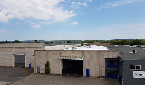 1,538 square meters and 1,695 square meters of warehouse space, potentially with logistics services included.