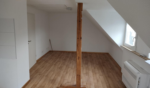 First occupancy Modernized and air-conditioned 2-room attic apartment