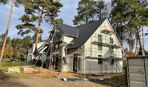 New country house on the edge of the forest