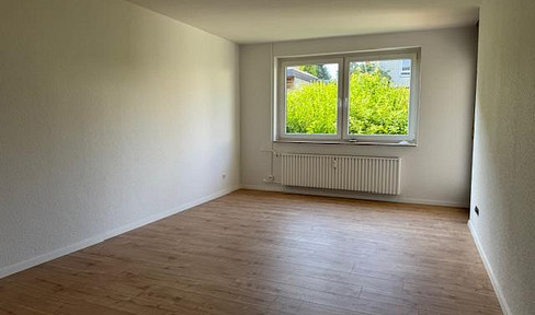 Newly renovated 2 room apartment Rhüden