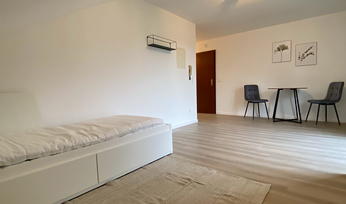 Refurbished and fully furnished 1-room apartment