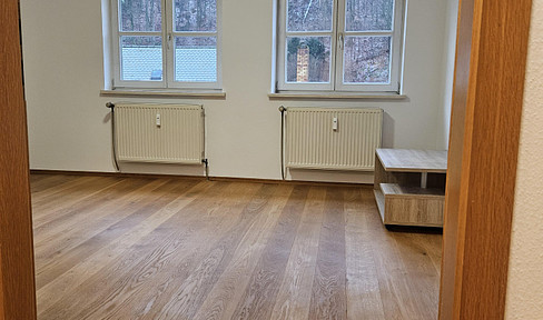 2 room apartment, EBK, parquet/tiled floor, box spring bed