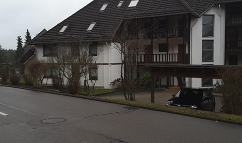 Schöne helle Wohnung mit Ausblick