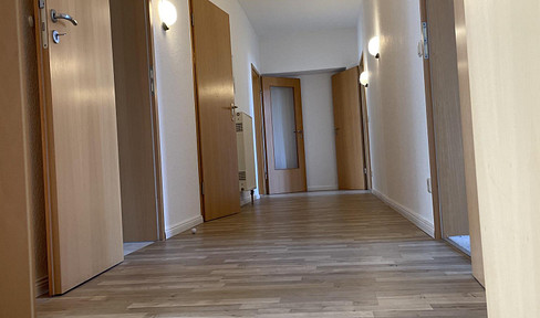 3-R.-Altbauwohnung mit Elbhangblick