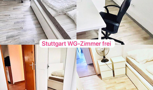 Beautiful women's shared flats available in Stuttgart: Obertürkheim, Esslingen am Neckar