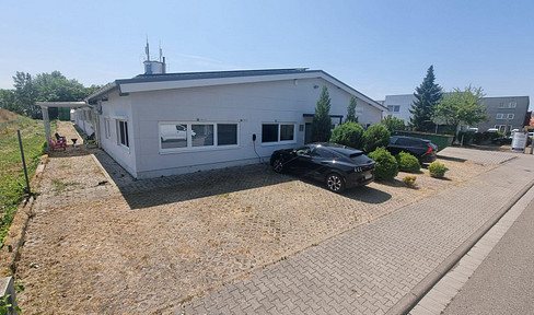 Warehouse space available, with no agent fees and incredibly low operating costs.