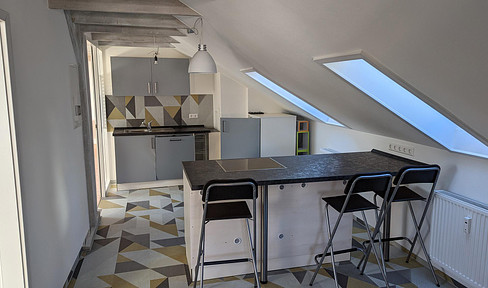 Bright, cozy attic apartment, first occupancy after energy-efficient renovation to A+ house