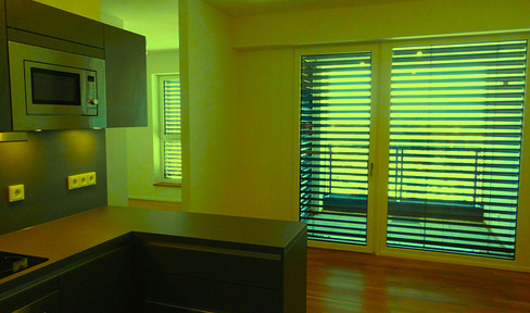 PENTHOUSE TOP 17th floor E-Franklin-Tower: E-FRANKLIN SKY HOME RENT