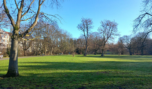 3-ZW mit Balkon, Einbauküche und Blick auf den Inselwallpark und die Oker