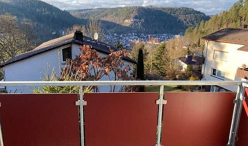 Renovierte Wohnung mit Burgblick