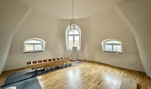 Above the rooftops of Dresden, luxurious top-floor apartment