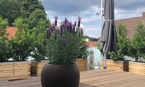 Traumhaftes Penthouse - modern, durchdacht, einzigartig