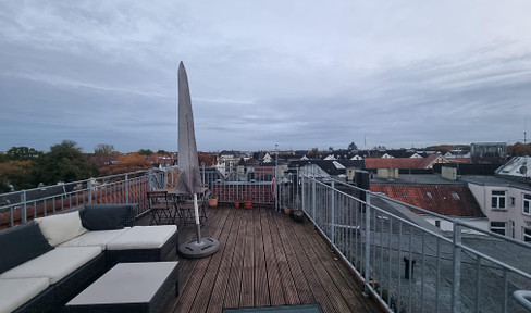 3.5 room apartment with large roof terrace in Eppendorf