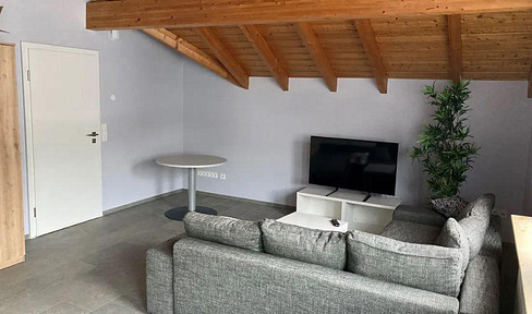 Moderne 1ZM Wohnung *MIT KLIMAANLAGE* in zentraler Lage in Hattersheim