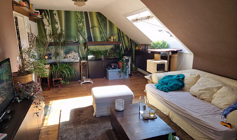 3 room attic apartment