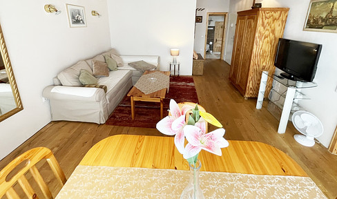 Vacation apartment in Speyer with whirlpool, furnished, underground parking, garden, apartment, fitters, vacation home