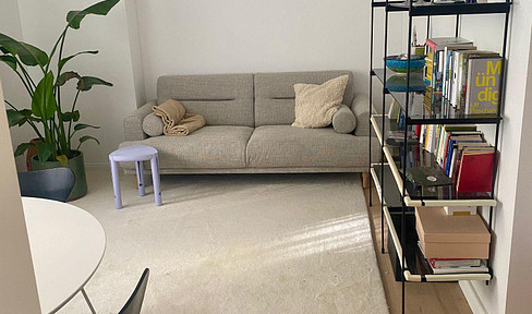 Light-flooded 3-room apartment in an old building with a large terrace overlooking the countryside - renovated