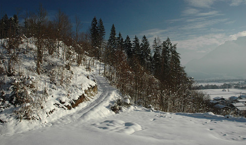 BEAUTIFUL HILLY FOREST/MEADOW PROPERTY AT LUEGSTEINSEE WITH VIEW OF THE ALPS