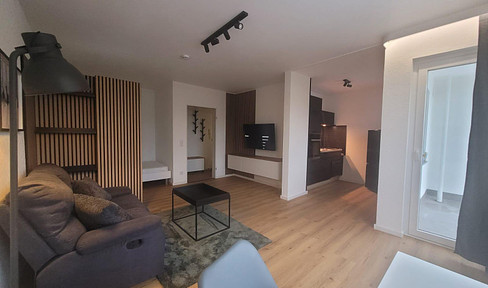 Freshly renovated, fully furnished apartment near the university