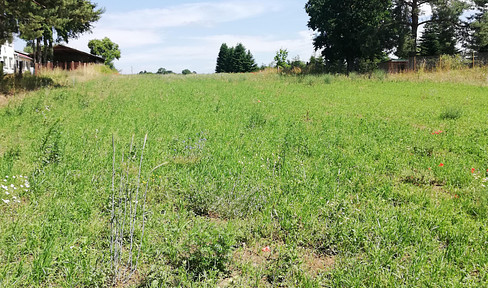 Idyllic building plot in Lychen