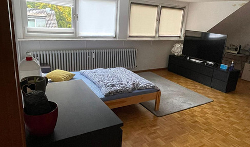 Friendly, bright apartment in the castle park