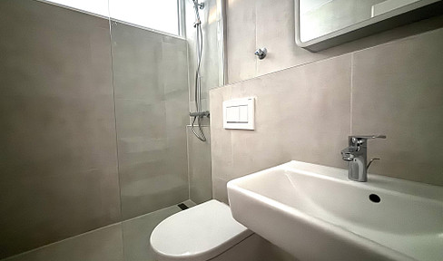 Top renovated 1-room apartment with modern bathroom and south-facing balcony