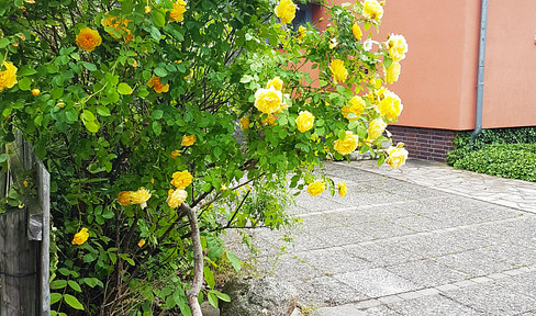 Stadtnah! Gemütliche Doppelhaushälfte mit großem naturbelassenen Garten