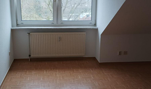 Cozy 2-room attic apartment for rent in Lüneburg