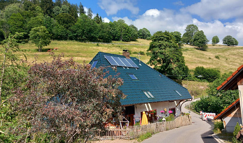 Renovated Black Forest house ideal for keeping horses/animals