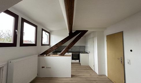 1-room apartment - near Frankenbergerviertel - RENOVATED