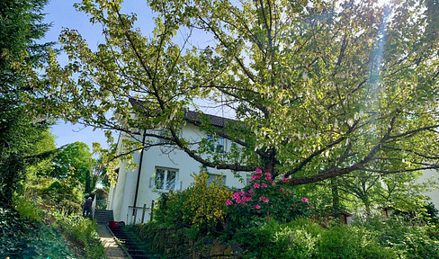 House in a privileged location