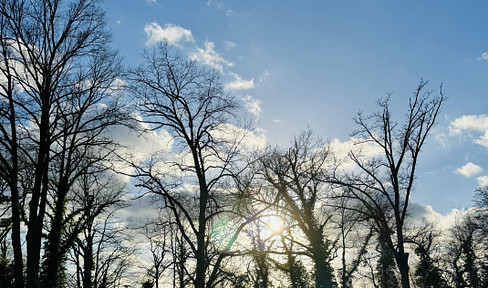 Exclusive building plot with water views on the outskirts of Potsdam