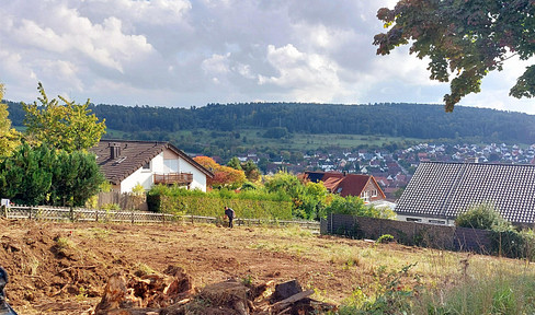 Architect's house on a south-facing slope with an exceptionally large plot