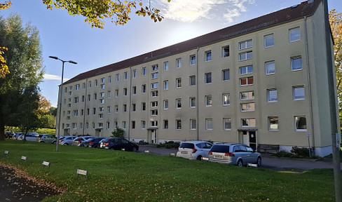 Verkaufe 4 ZKB Wohnung mit Küche und Stellplatz