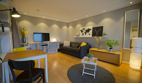 Fully furnished 1-room apartment with EBK and parking space in Stuttgart