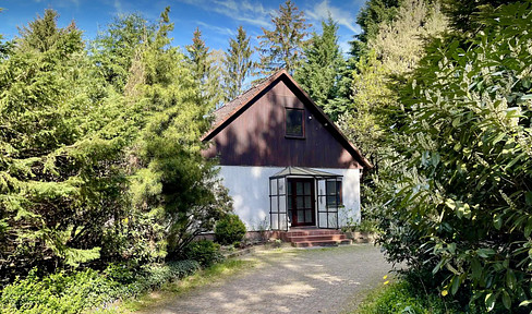 Lüneburg Heath: Quiet vacation home near Hamburg - ideal for nature lovers and dog owners